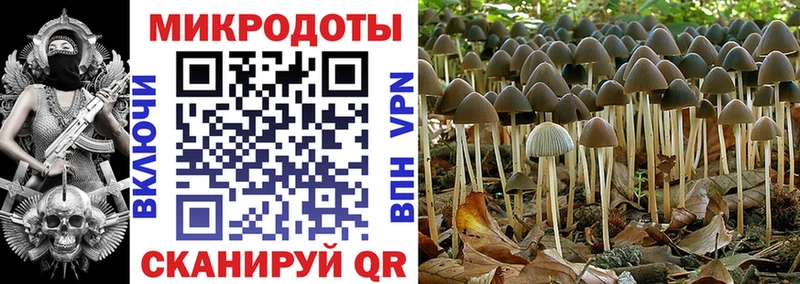 наркошоп  Боготол  Псилоцибиновые грибы MAGIC MUSHROOMS 