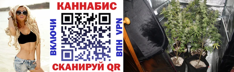 Канабис план Боготол
